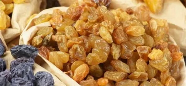 تصویر 3 از قیمت خرید کشمش اعلا درجه یک + فروش ویژه